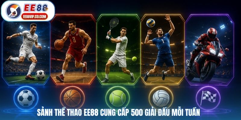 Sảnh thể thao EE88 cung cấp 500 giải đấu mỗi tuần